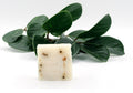 Green Tea Herbal Soap - be - natura.ae